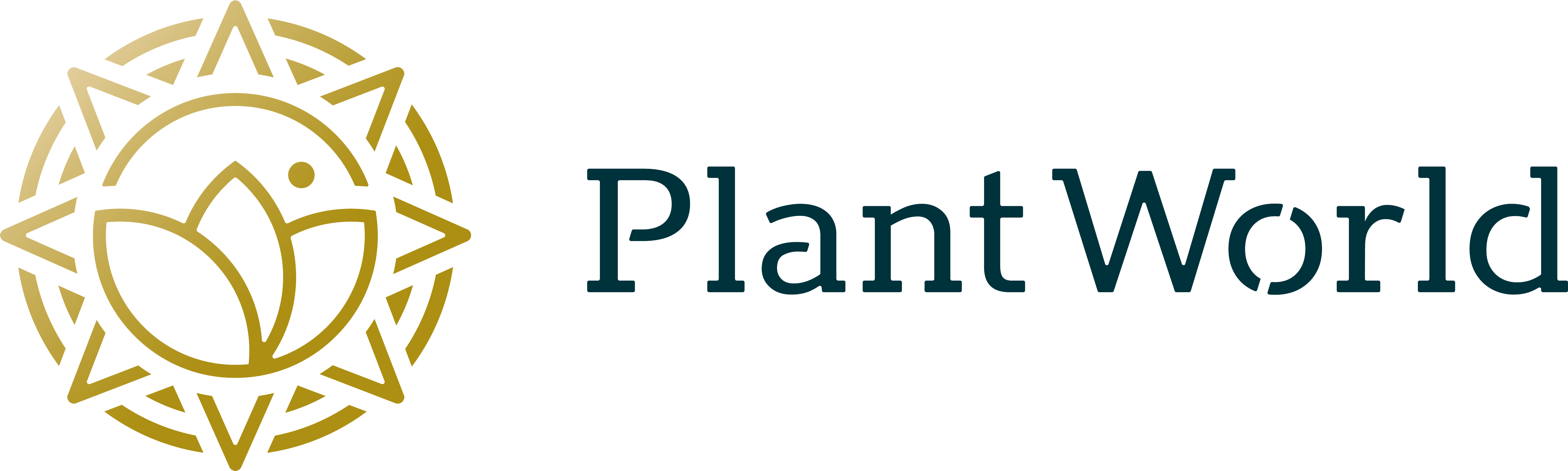 IT Support | Plant World